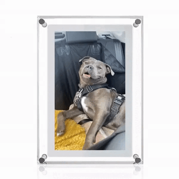 The Nolto Acrylic Digital Photo Frame 5 inch™
