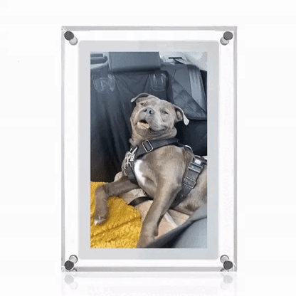 The Nolto Acrylic Digital Photo Frame 5 inch™
